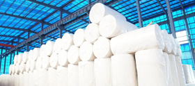 Paper Industry
